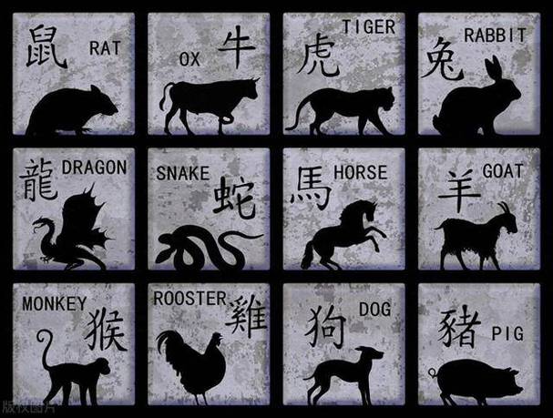 无家可归猜一个生肖数字