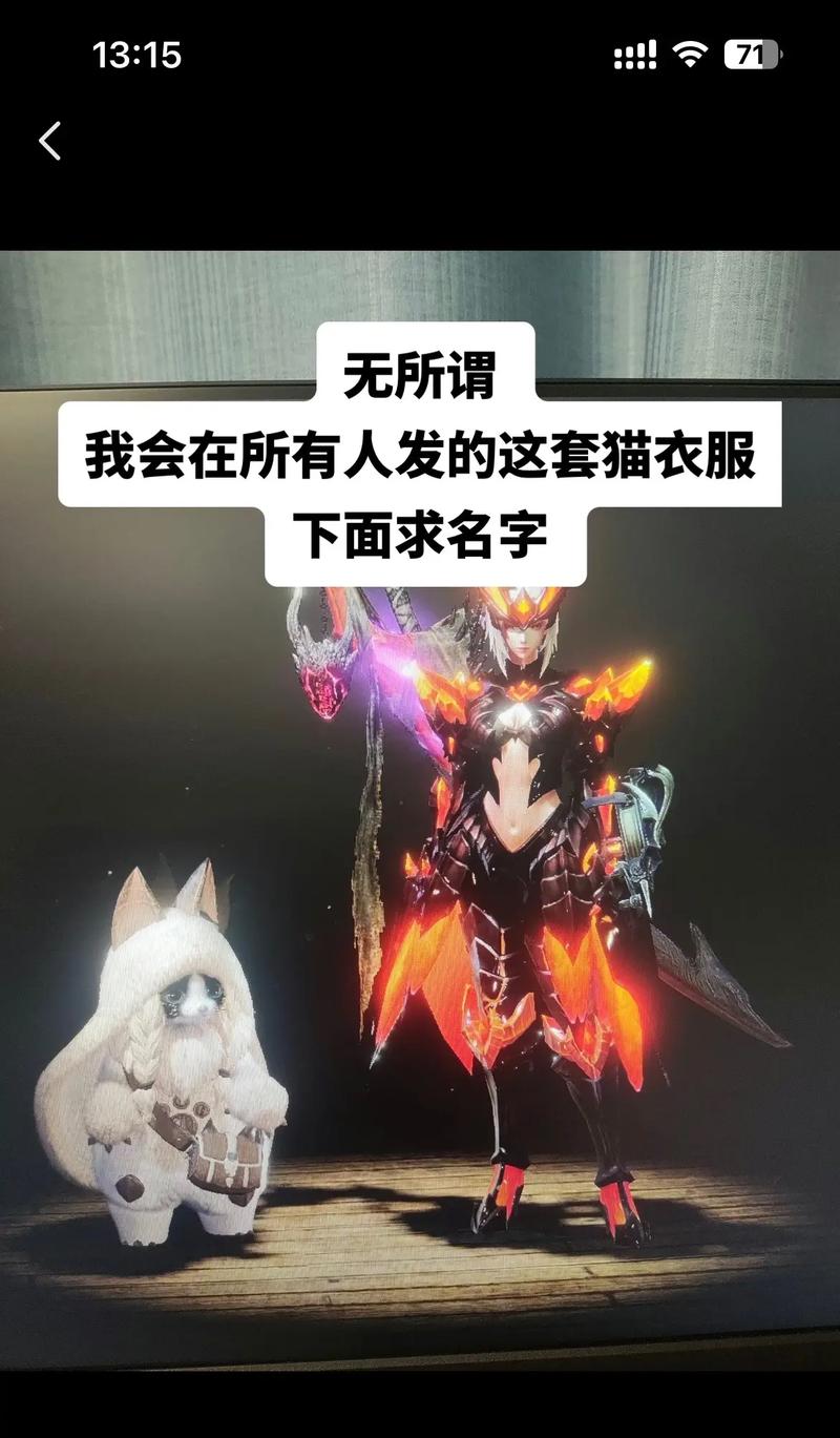 怪物猎人勇气之证怎么拿