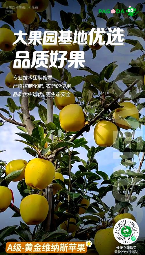 有机果园的红包储蓄金可以提现吗?