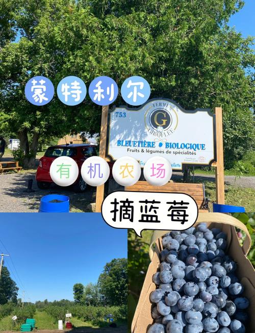有机果园到了30级还能玩吗